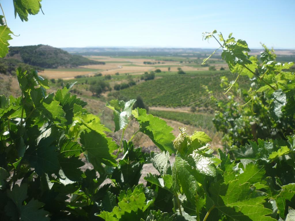 La Cantamora Hotel Rural Pesquera De Duero Luaran gambar